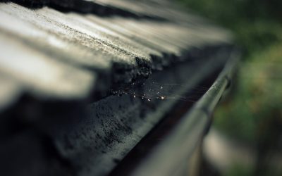 Gutters Barrington