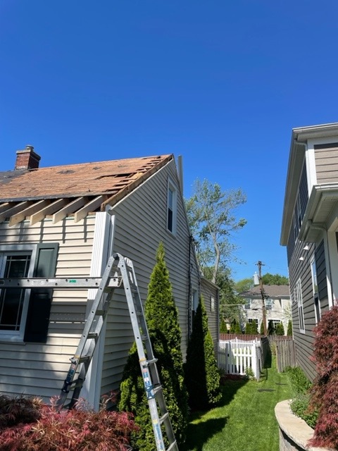 eave extension service in arlington heights