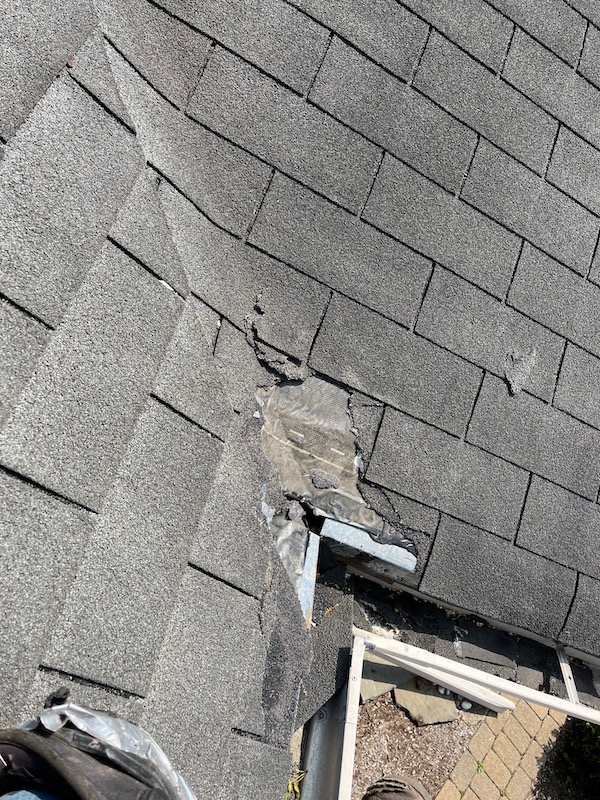 animal damage to a roof in Arlington Heights
