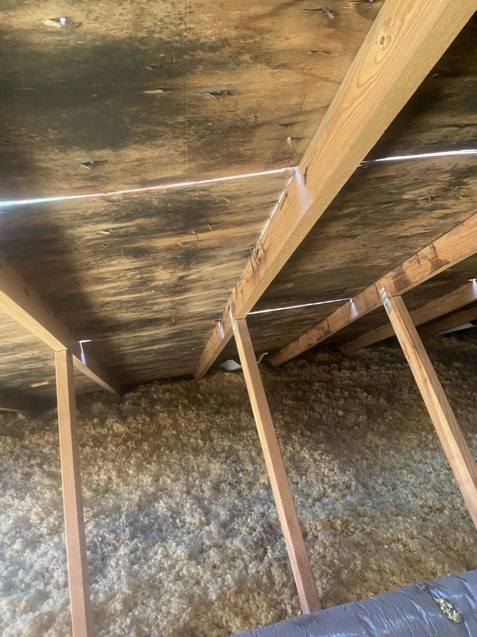 Mold on interior of roof base